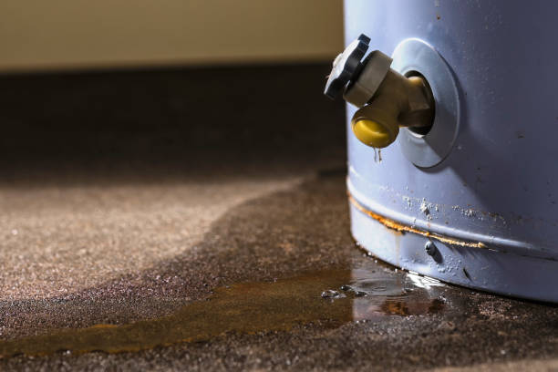 Best Sewage cleanup and water damage restoration  in The Hills, NJ