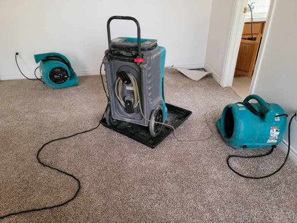 Best Water damage restoration company  in The Hills, NJ