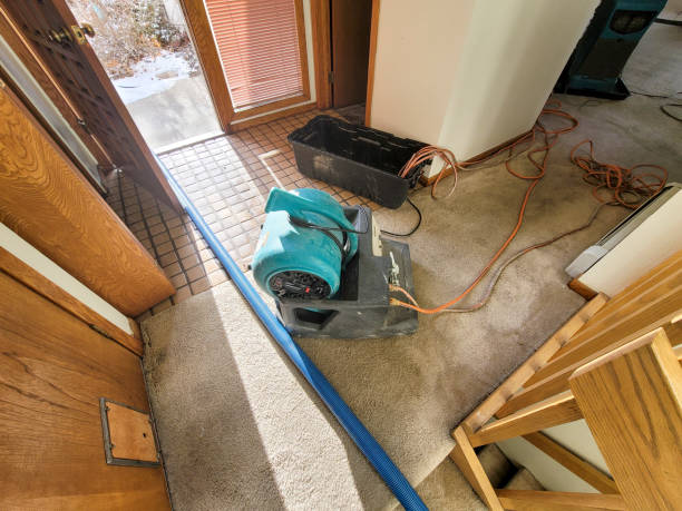 Best Flood restoration services  in The Hills, NJ