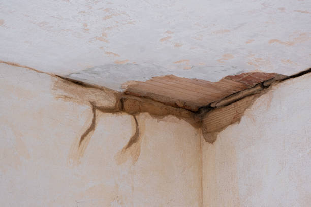 Best Fire Damage Restoration  in The Hills, NJ