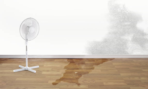 Best Basement water damage restoration  in The Hills, NJ