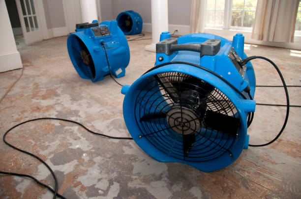 Best Professional water damage repair  in The Hills, NJ