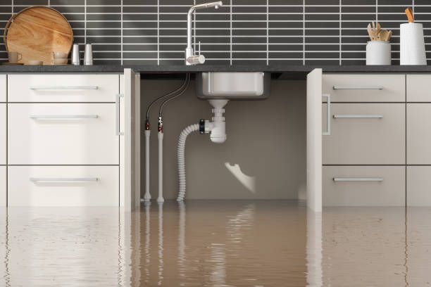 Best Water damage contractors near me  in The Hills, NJ