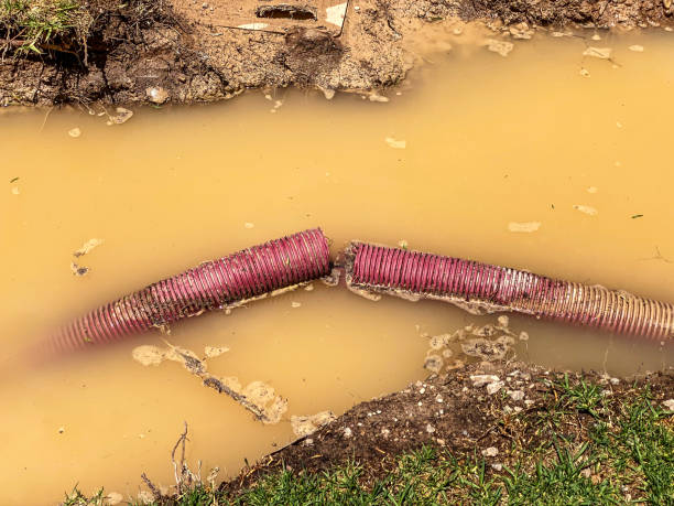  The Hills, NJ Water damage restoration Pros